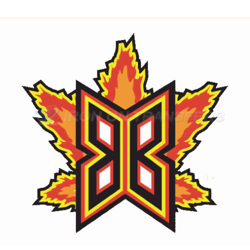 Bakersfield Blaze Iron-on Stickers (Heat Transfers)NO.7648